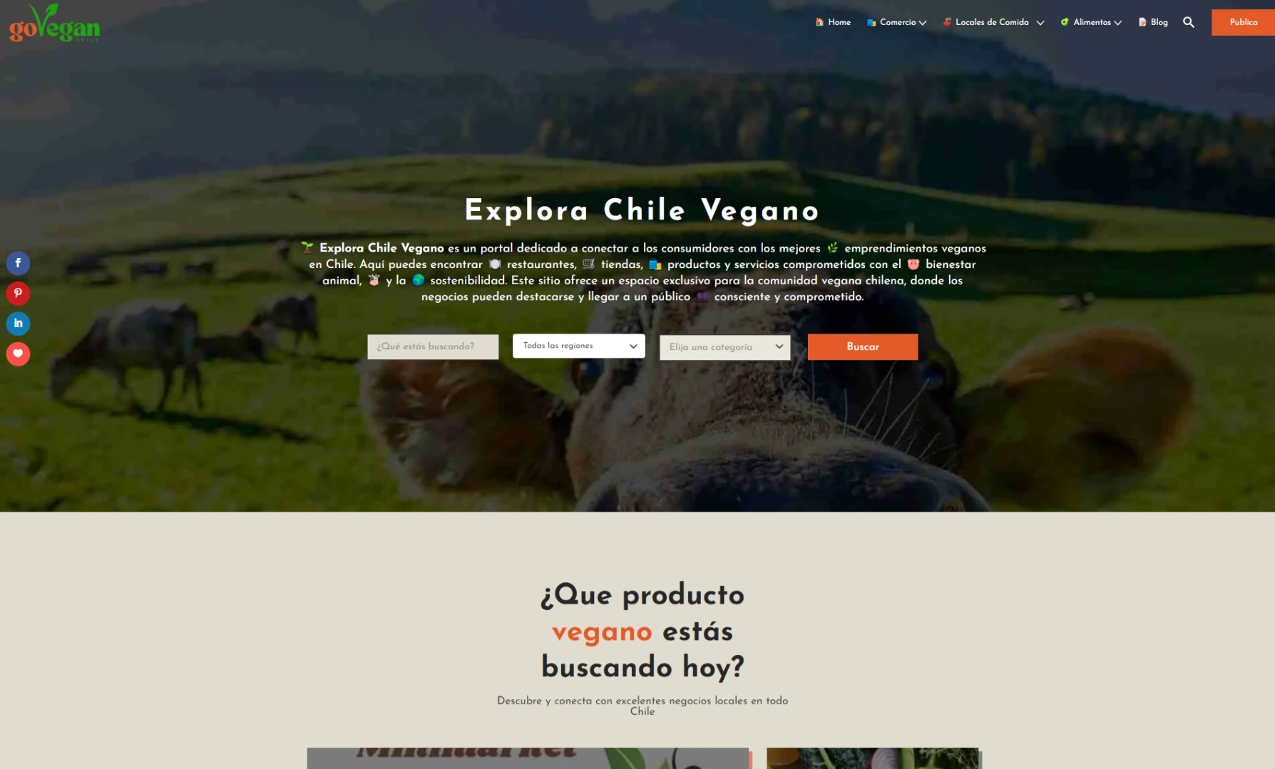 Go Vegan Chile Go Vegan Chile
