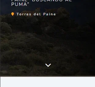 NIKO'S TWO ADVENTURE