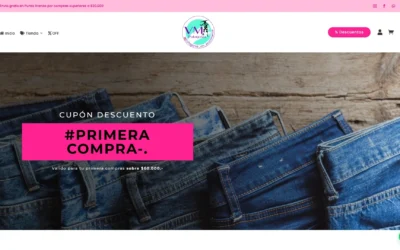 Diseño Web y Optimización SEO para patagoniavm.cl